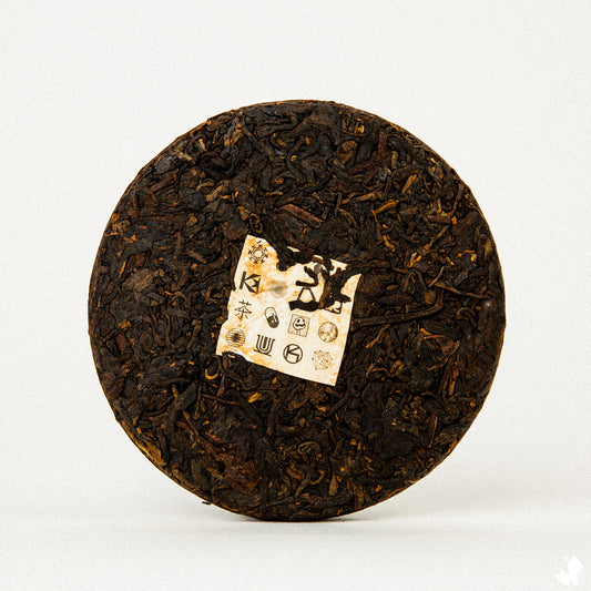 KUURA 2024 'Kuura Cola' Ripe Pu'er