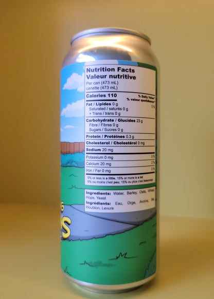 Backcountry Brewing 'I Was Saying Boo-urns' Non-alcoholic IPA