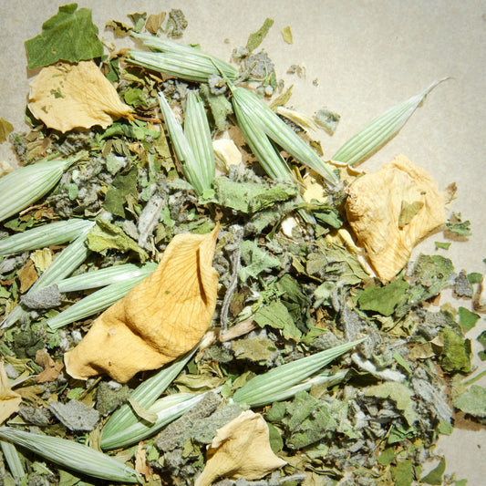 'Softer' Herbal Tea by Green Muse Herbs