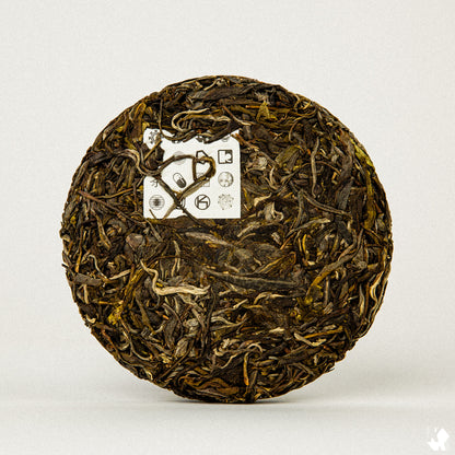 KUURA 2024 'Optic' Raw Pu'er