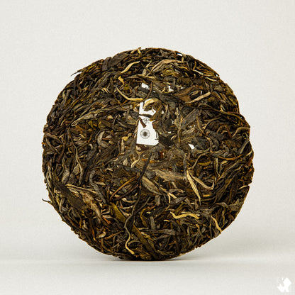 KUURA 2024 'Shanshui' Raw Pu'er