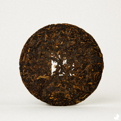 KUURA 2024 'Syrup' Ripe Pu'er