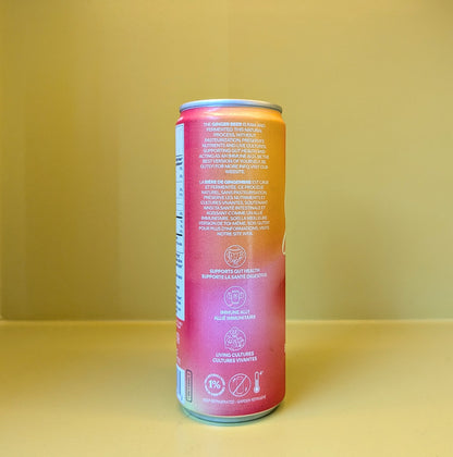 Gutsy Fermented Ginger Beer - Guava