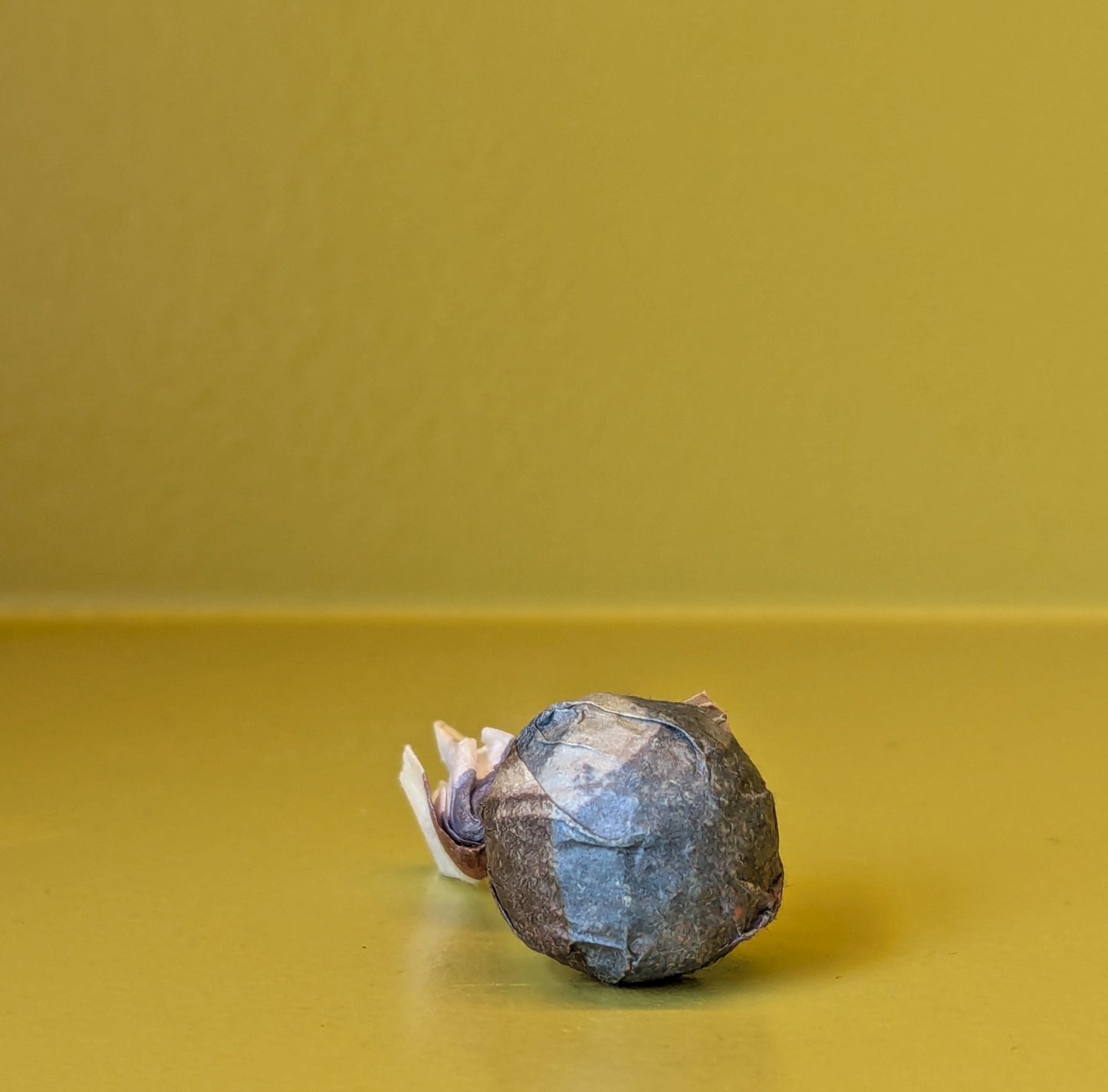 white2tea 2022 ‘Tian Jian’ Heicha Tea Ball 7g
