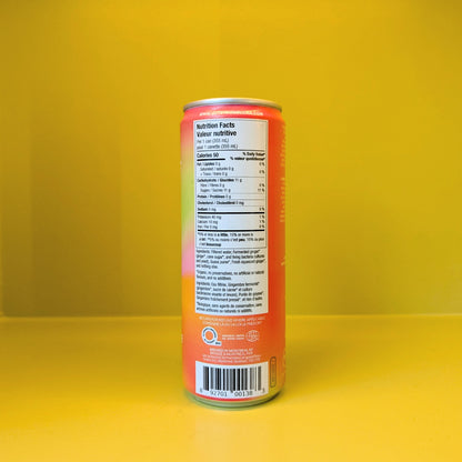 Gutsy Fermented Ginger Beer - Guava