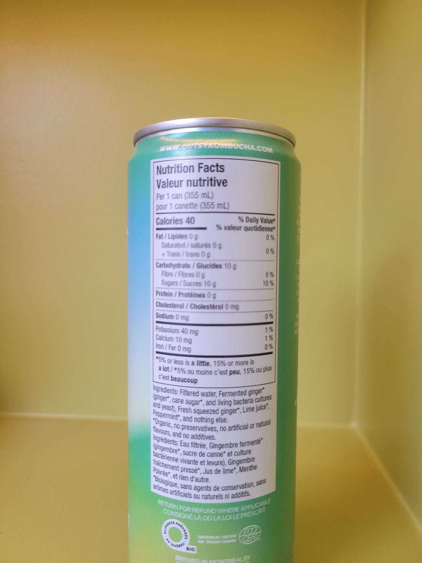 Gutsy Fermented Ginger Beer - Mojito