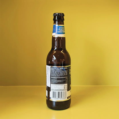 Stads Haven Octopus Blond Ale 0.4%
