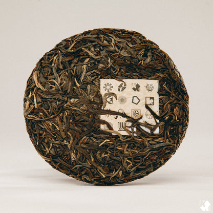 KUURA 2022 'A Flash and then the Quiet' Raw Puer